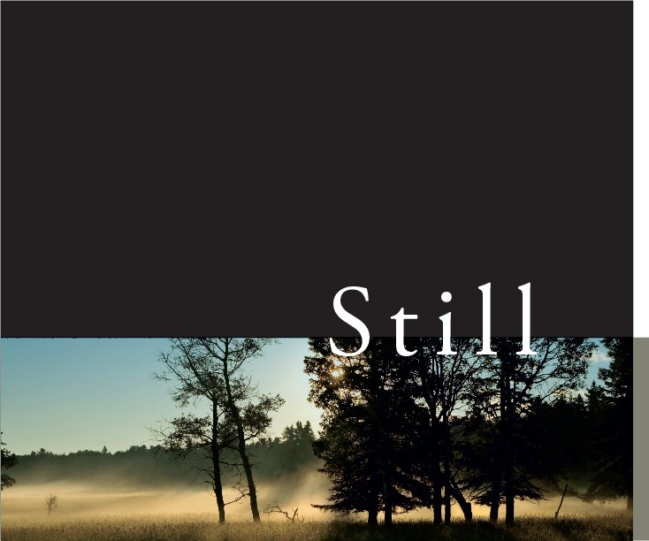View Still by Kevin Zerr and Heidi Miller Zerr