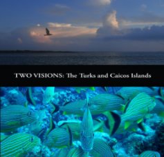 Two Visions book cover