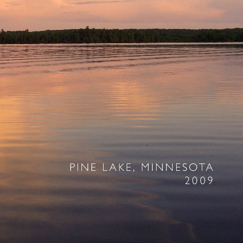 View Pine Lake, Minnesota by Dan Pedersen