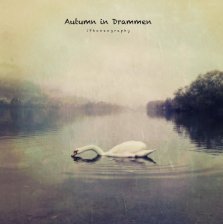 Autumn in Drammen book cover