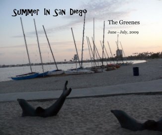 Summer In San Diego book cover