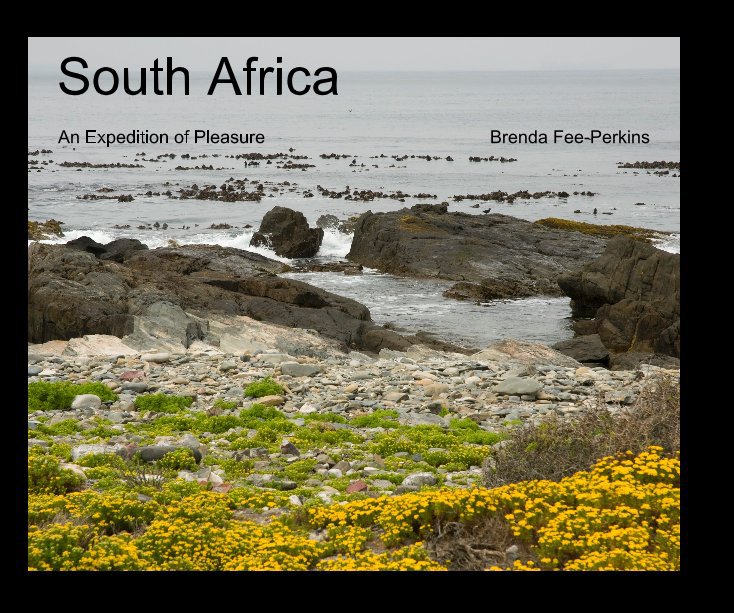 View South Africa by Brenda Fee-Perkins