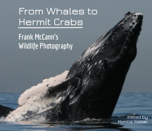 From Whales to Hermit Crabs book cover