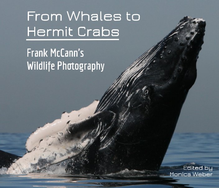Ver From Whales to Hermit Crabs por Monica Weber