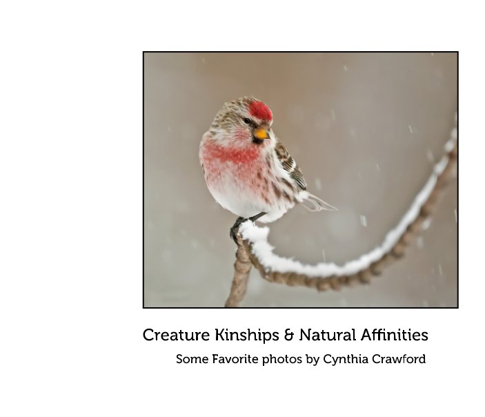 View Creature Kinships and Natural Affinities by Cynthia Crawford