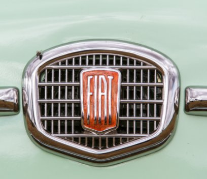Fiat Nouva 500 (2) book cover