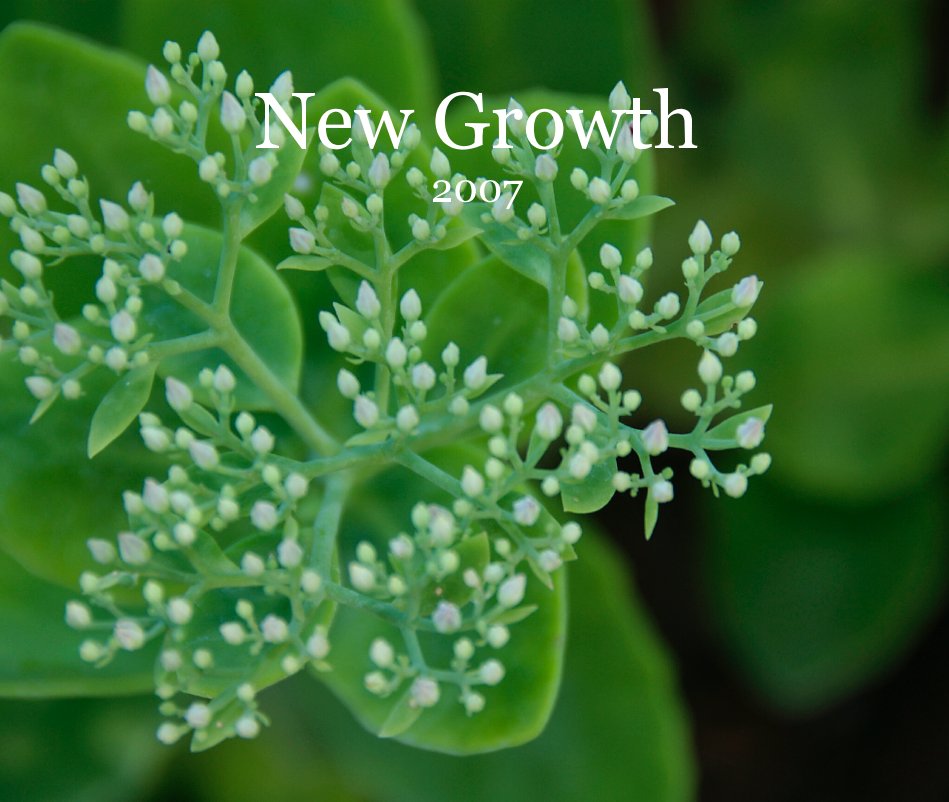 View New Growth by Anesti Tsiourantanis