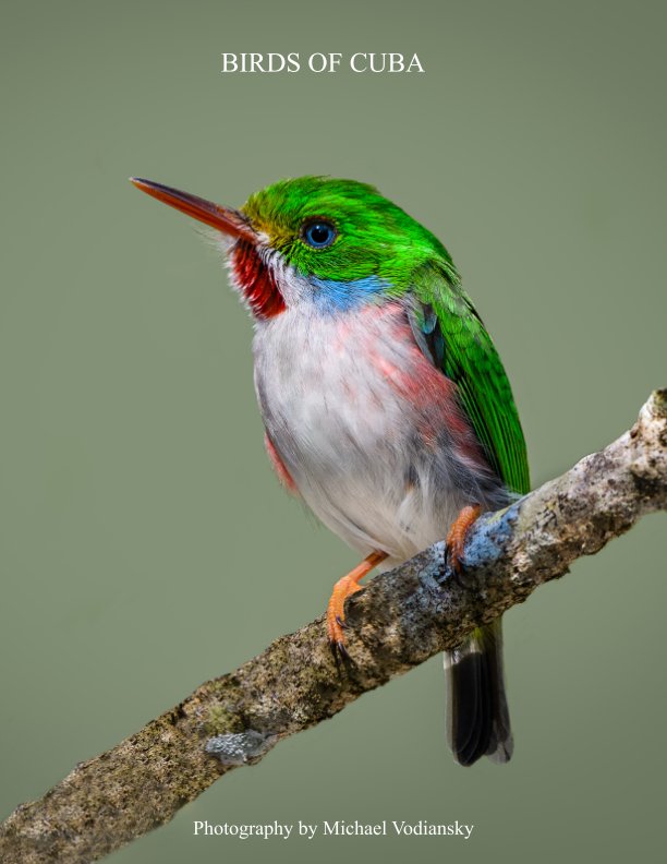 View Birds Of Cuba by Michael Vodiansky