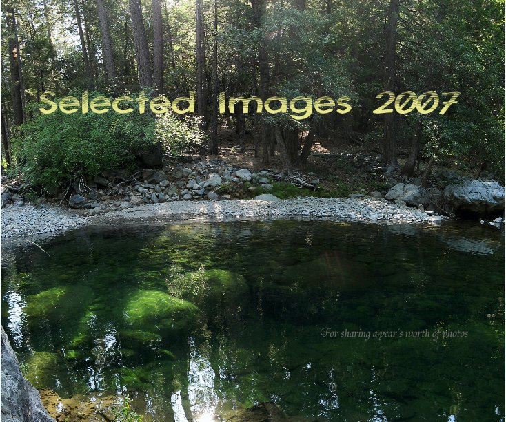 Visualizza Selected Images 2007 di Skip Cynar