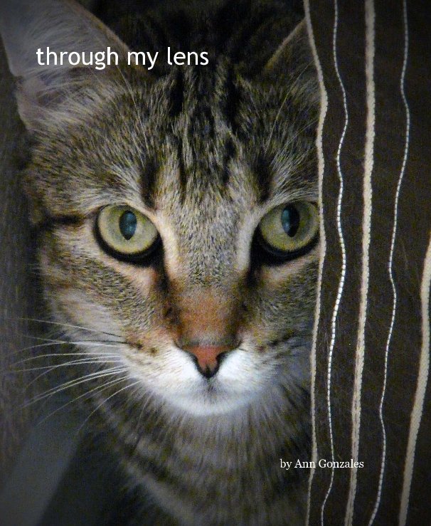 Ver through my lens por Ann Gonzales