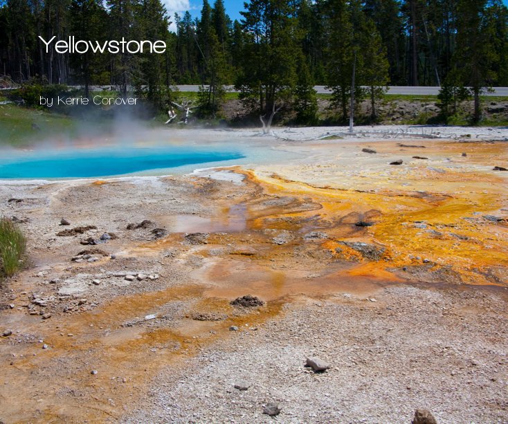 View Yellowstone by Kerrie Conover