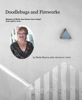 Doodlebugs and Fireworks book cover