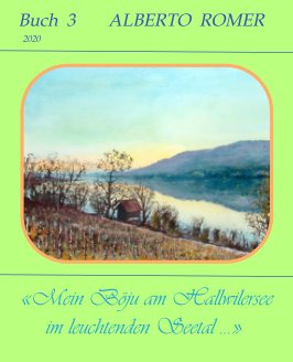 Mein "Böju" am Hallwilersee
im leuchtenden Seetal book cover