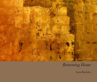 Returning Home book cover