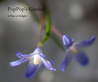 PopPop's Garden book cover