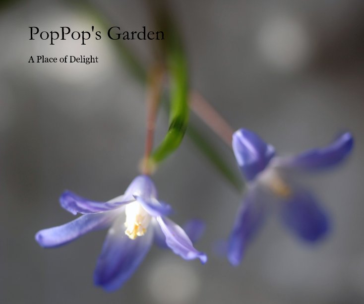 Ver PopPop's Garden por moriza