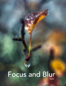 Focus and Blur book cover
