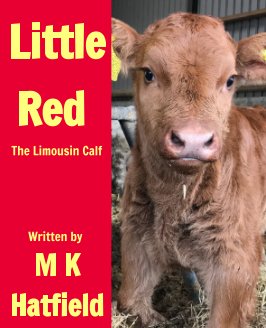Little Red book cover