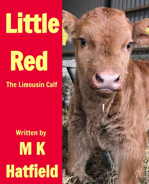 View Little Red by M K Hatfield