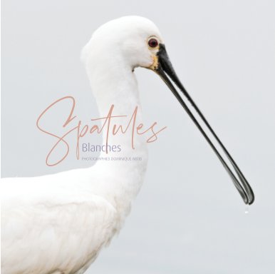 Spatules blanches book cover
