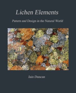 Lichen Elements book cover