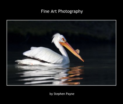 Fine Art Photography 2019 book cover