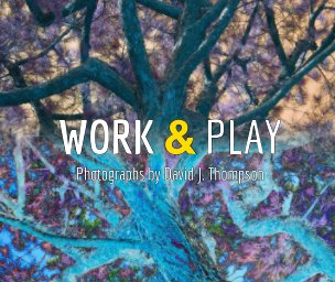 Work and Play book cover
