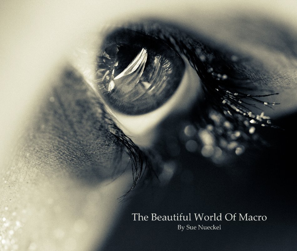 View The Beautiful World Of Macro By Sue Nueckel by Sue Nueckel