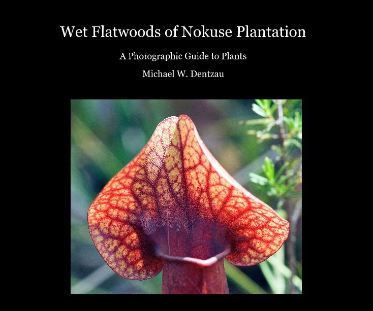 View Wet Flatwoods of Nokuse Plantation by Michael W. Dentzau