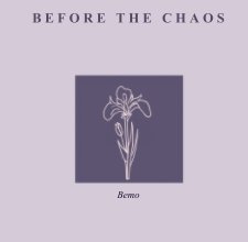Before The Chaos book cover