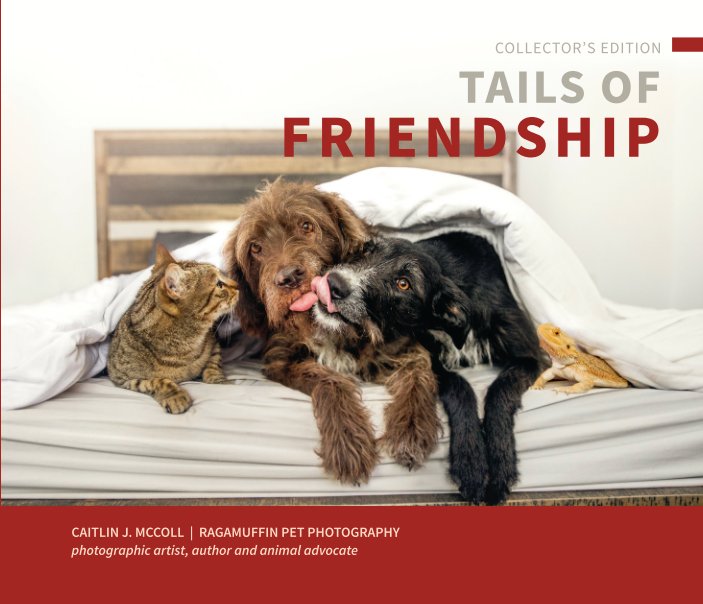 View Tails of Friendship by Ragamuffin Pet Photography