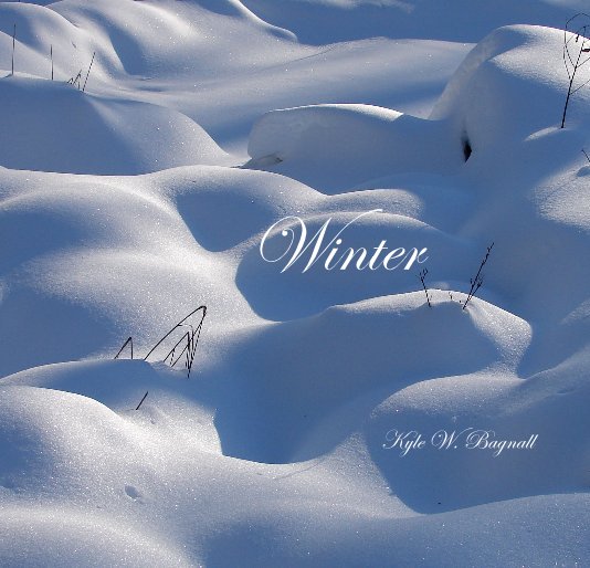View Winter by Kyle W. Bagnall