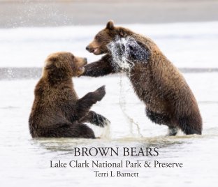 Brown Bears book cover