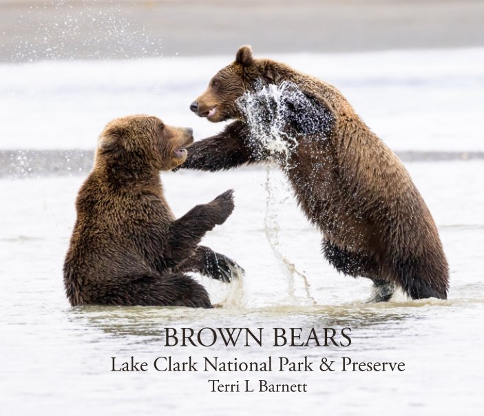 View Brown Bears by Terri L Barnett