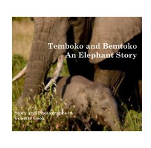 Temboko and Bemtoko: An Elephant Story book cover
