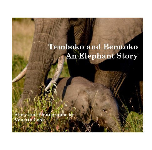 View Temboko and Bemtoko: An Elephant Story by Venette Cook