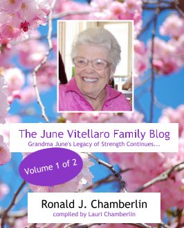 The June Vitellaro Family Blog book cover