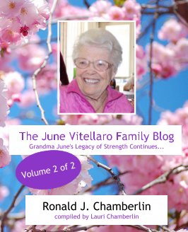 The June Vitellaro Family Blog book cover