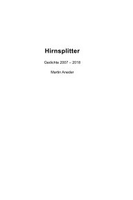 Hirnsplitter book cover
