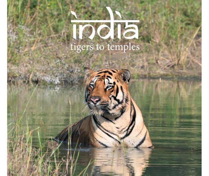 Visualizza India - tigers to temples di Colin MacConnachie