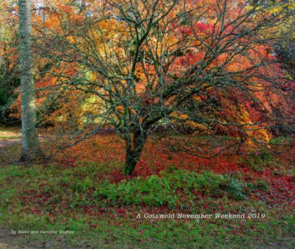 A Cotswold November Weekend 2019 book cover