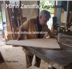 Mario Zanotta, Legnamee book cover