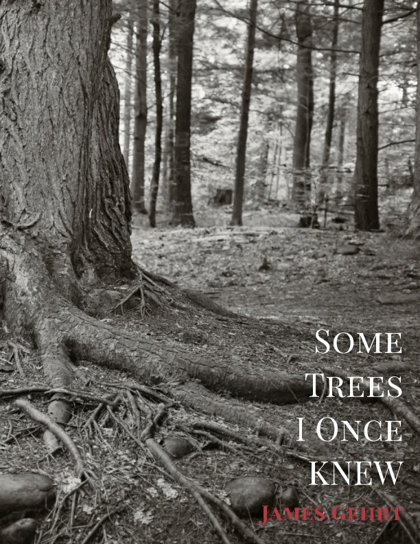 View Some Trees I Once Knew by James Gehrt