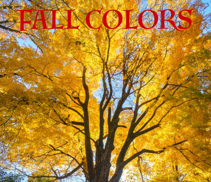 View Fall Colors by Frank Page