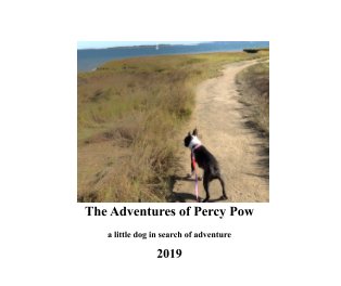 The Adventures of Percy Pow book cover