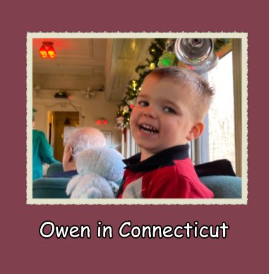 Owen in Connecticut book cover