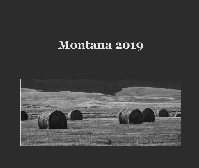 Ver Montana 2019 por John Dickson