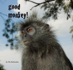 good monkey! book cover