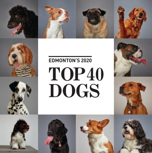 Ver Top 40 Dogs por Office of Sarah