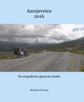 Aursjøveien 2016 book cover